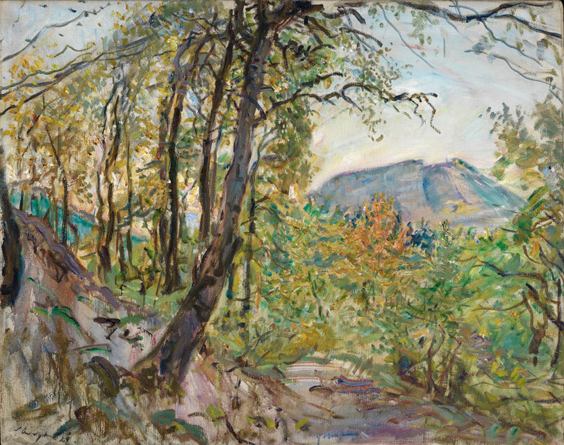 Q104527805 - Max Slevogt