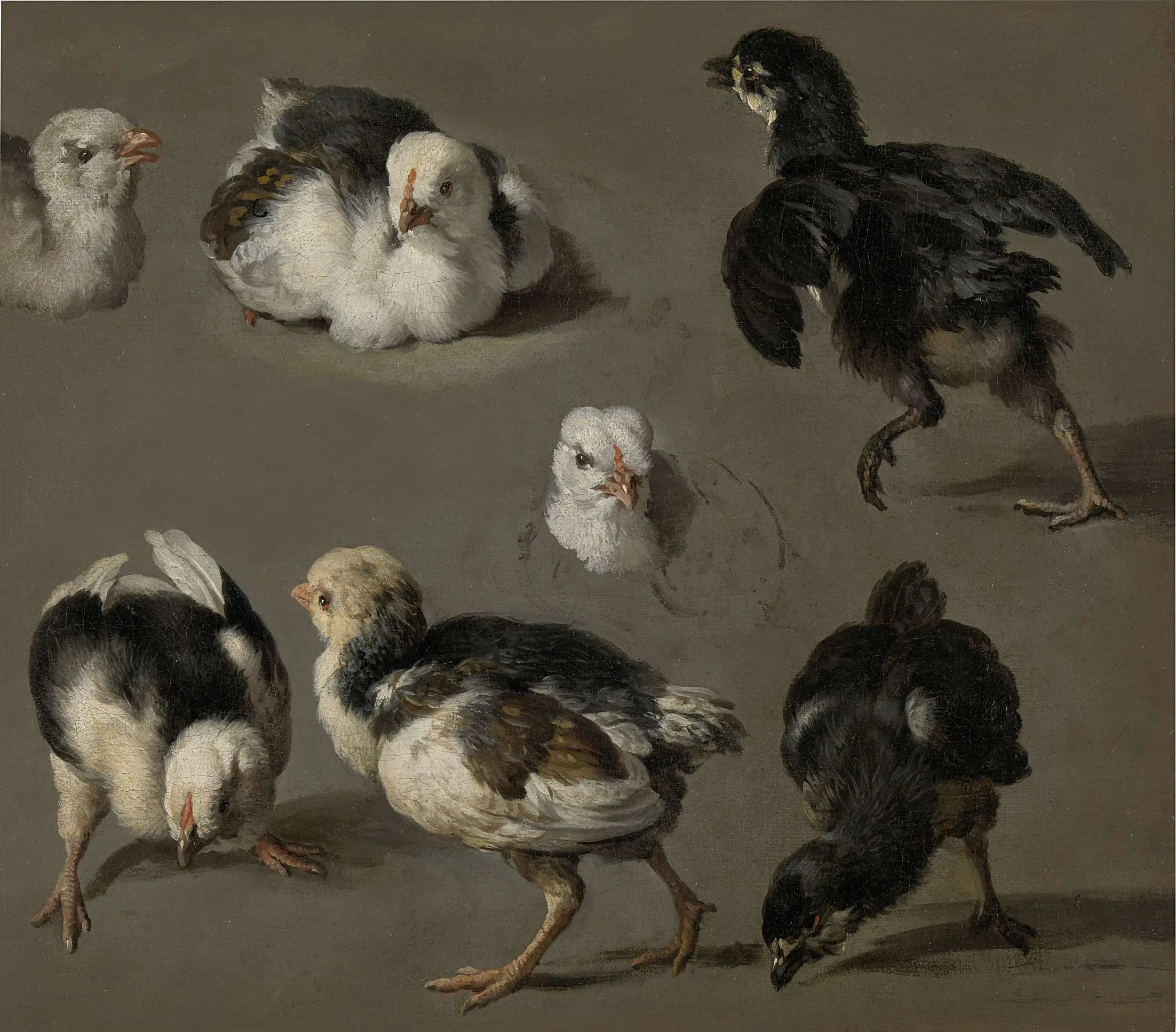 Sept poussins - Melchior de Hondecoeter - Alpha Reproduction