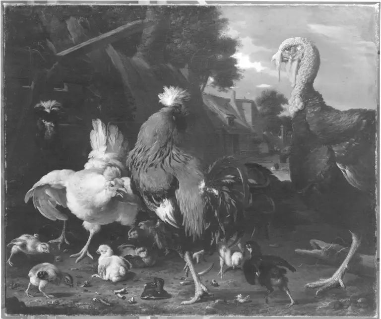 Une dinde des poulets et des cailles dans une cour de ferme - Melchior de Hondecoeter - Alpha Reproduction