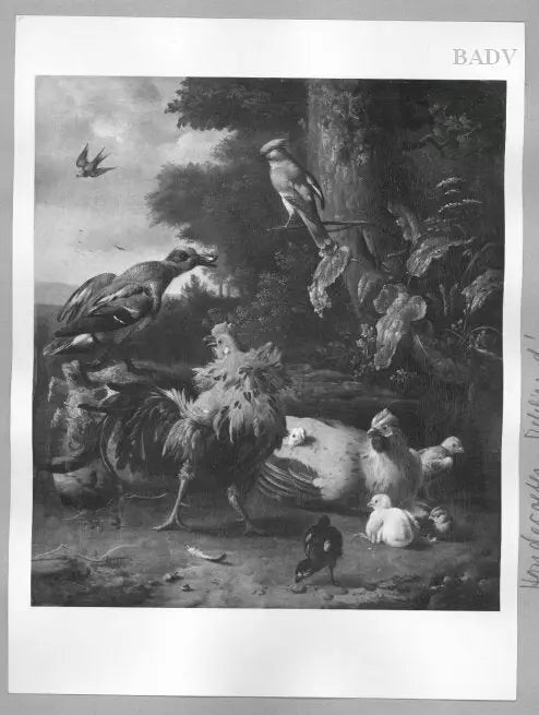 coq poule et autres oiseaux - Melchior de Hondecoeter - Alpha Reproduction