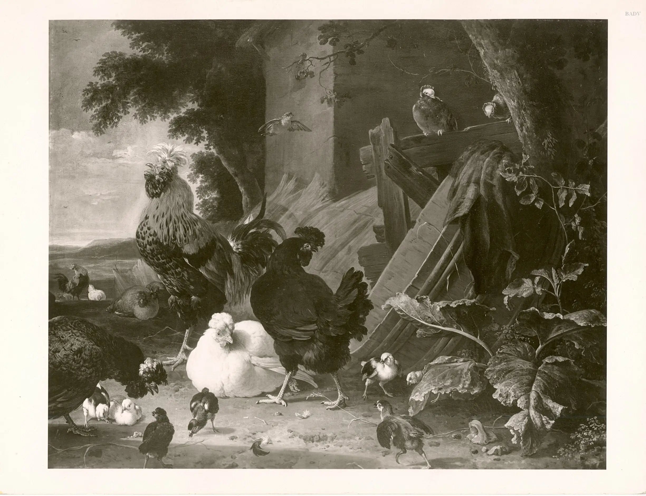 poule - cour - Melchior de Hondecoeter - Alpha Reproduction