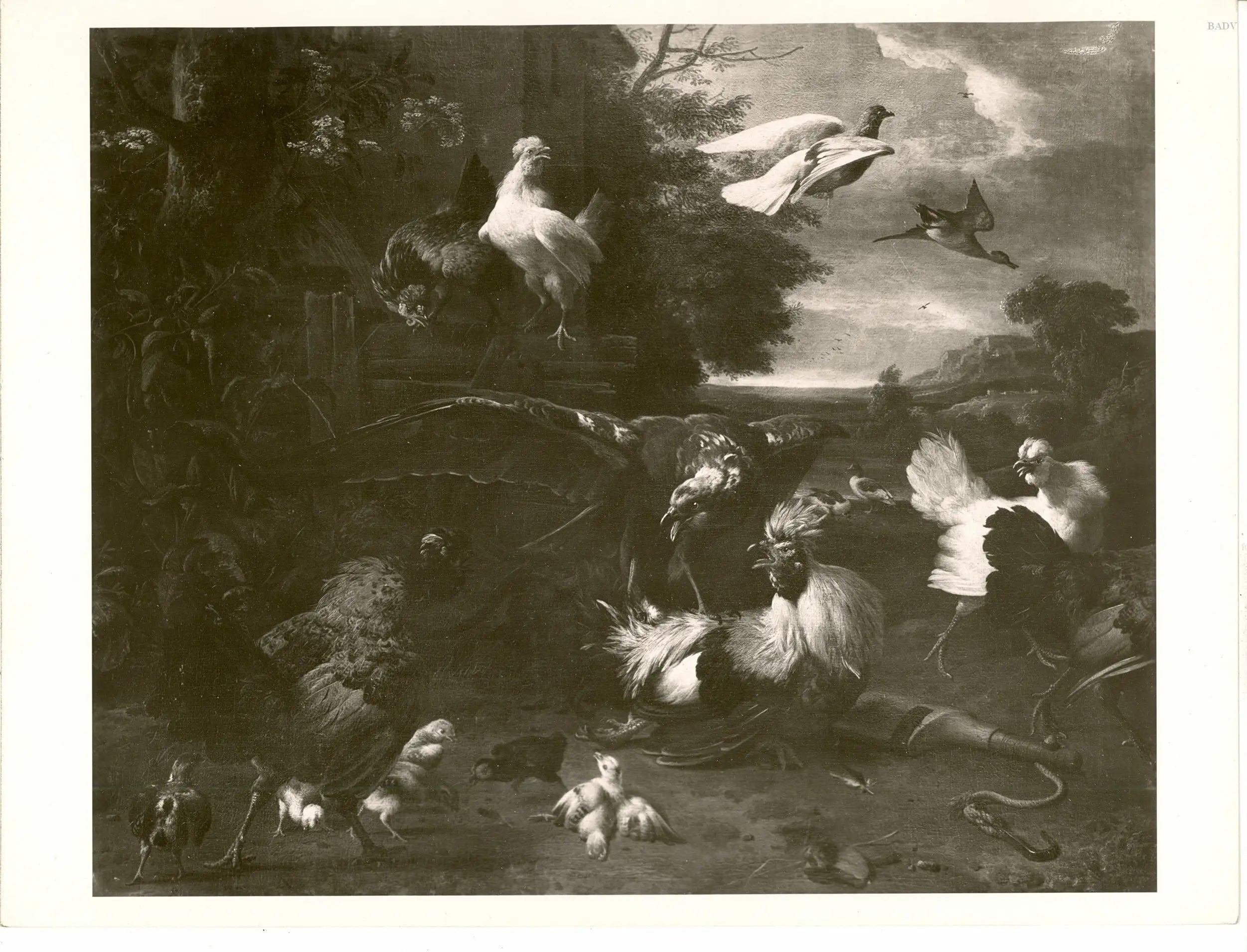 Q111646444 - Melchior de Hondecoeter - Alpha Reproduction