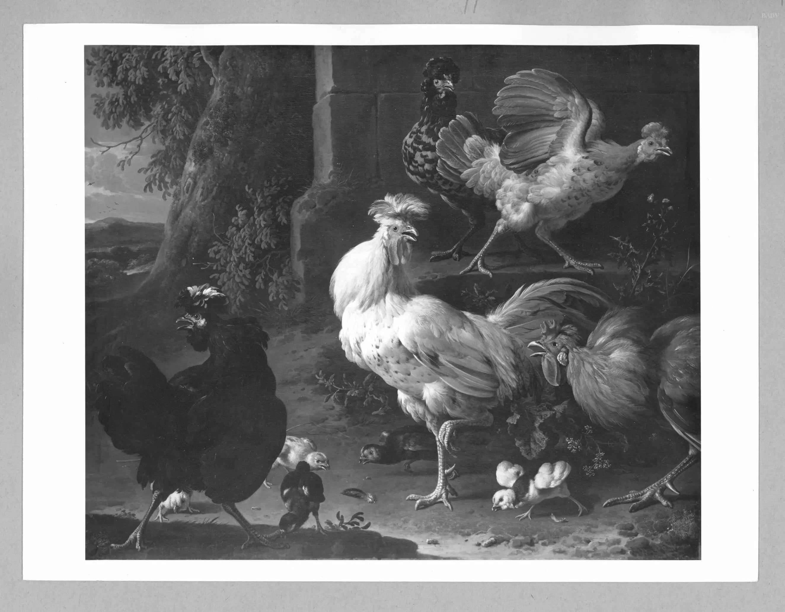 poulailler - Melchior de Hondecoeter - Alpha Reproduction