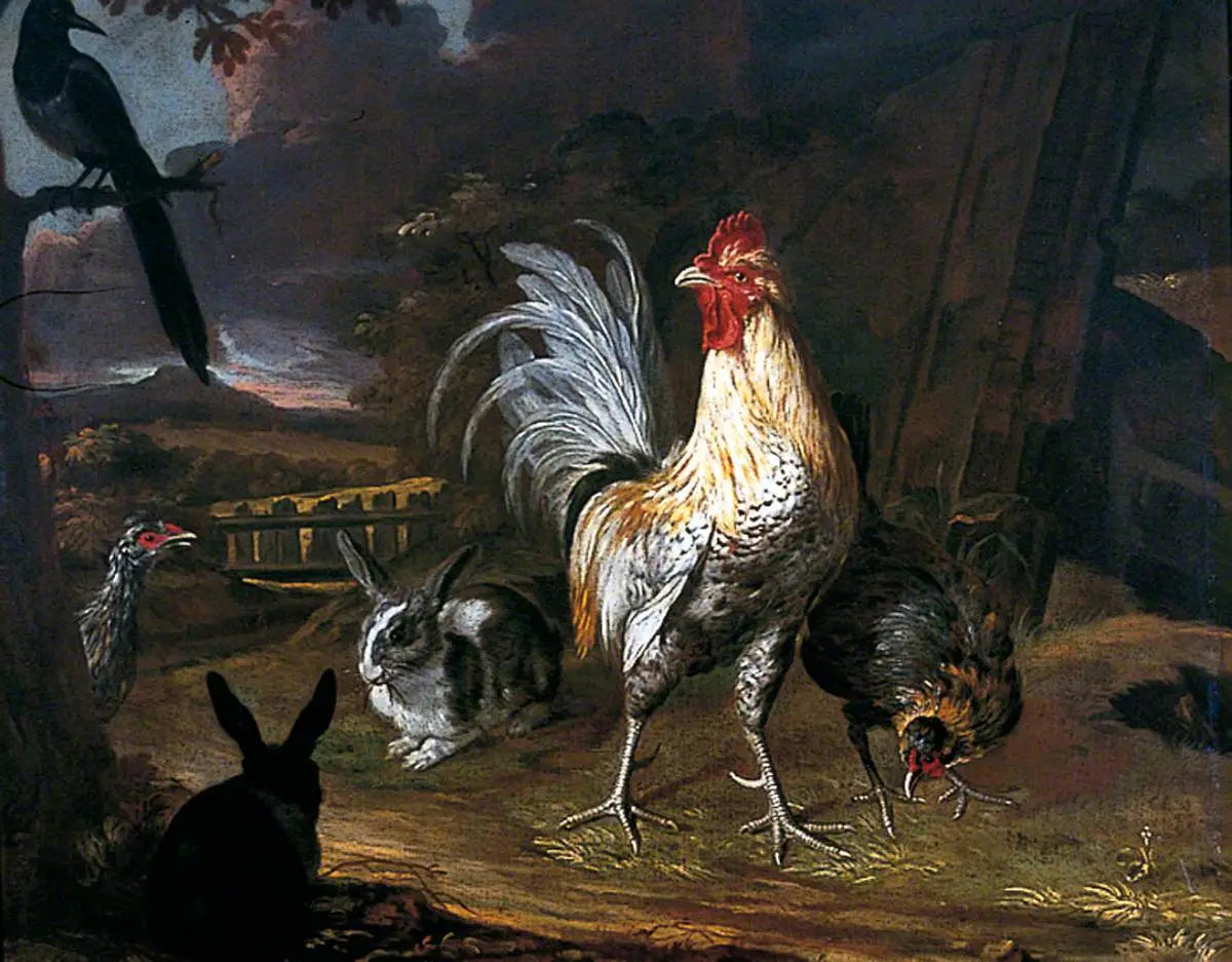 Lapins un coq et une poule sur fond de paysage - Melchior de Hondecoeter - Alpha Reproduction