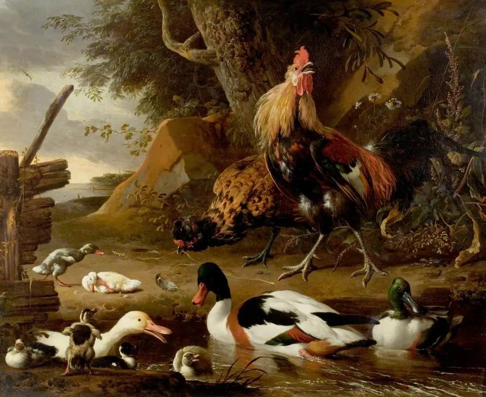 Deux volailles et canards sur un étang - Melchior de Hondecoeter - Alpha Reproduction