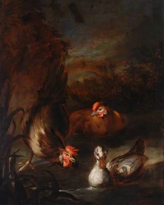 Volaille - Melchior de Hondecoeter - Alpha Reproduction