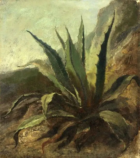 Agave i Marokko - Eugène Delacroix