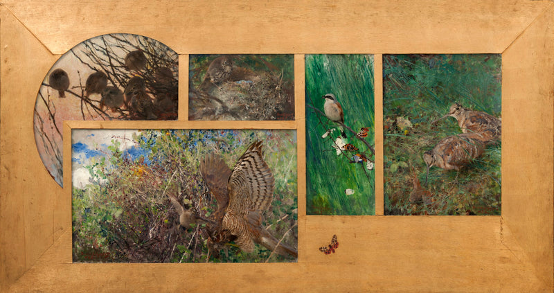 Bécasse des bois, Pie-grièche écorcheur, Grive dans son nid, Épervier de proie, Moineaux - Bruno Liljefors