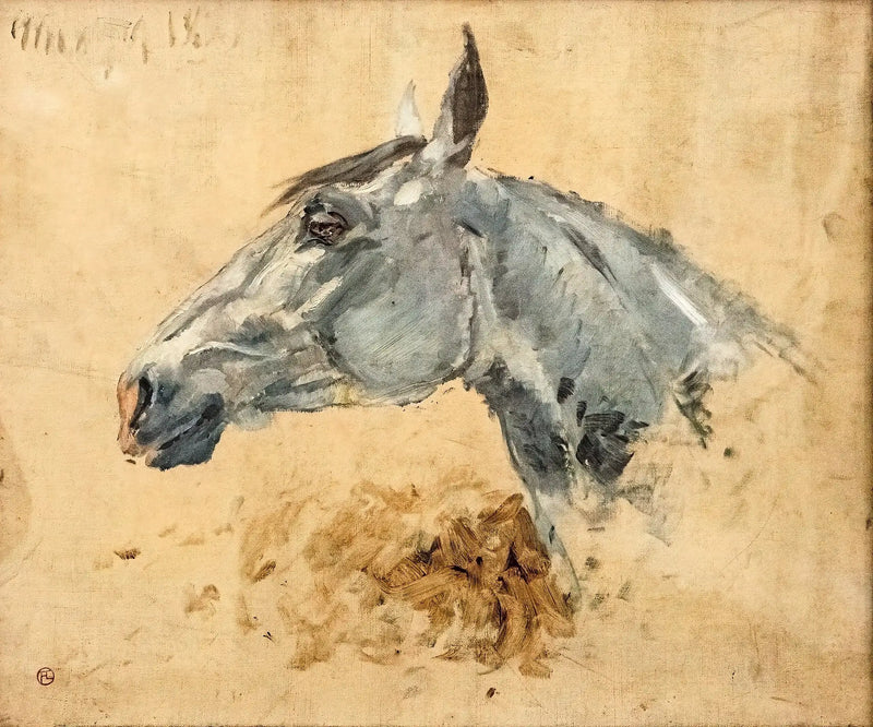 Hvid hest Gazelle - Henri de Toulouse-Lautrec