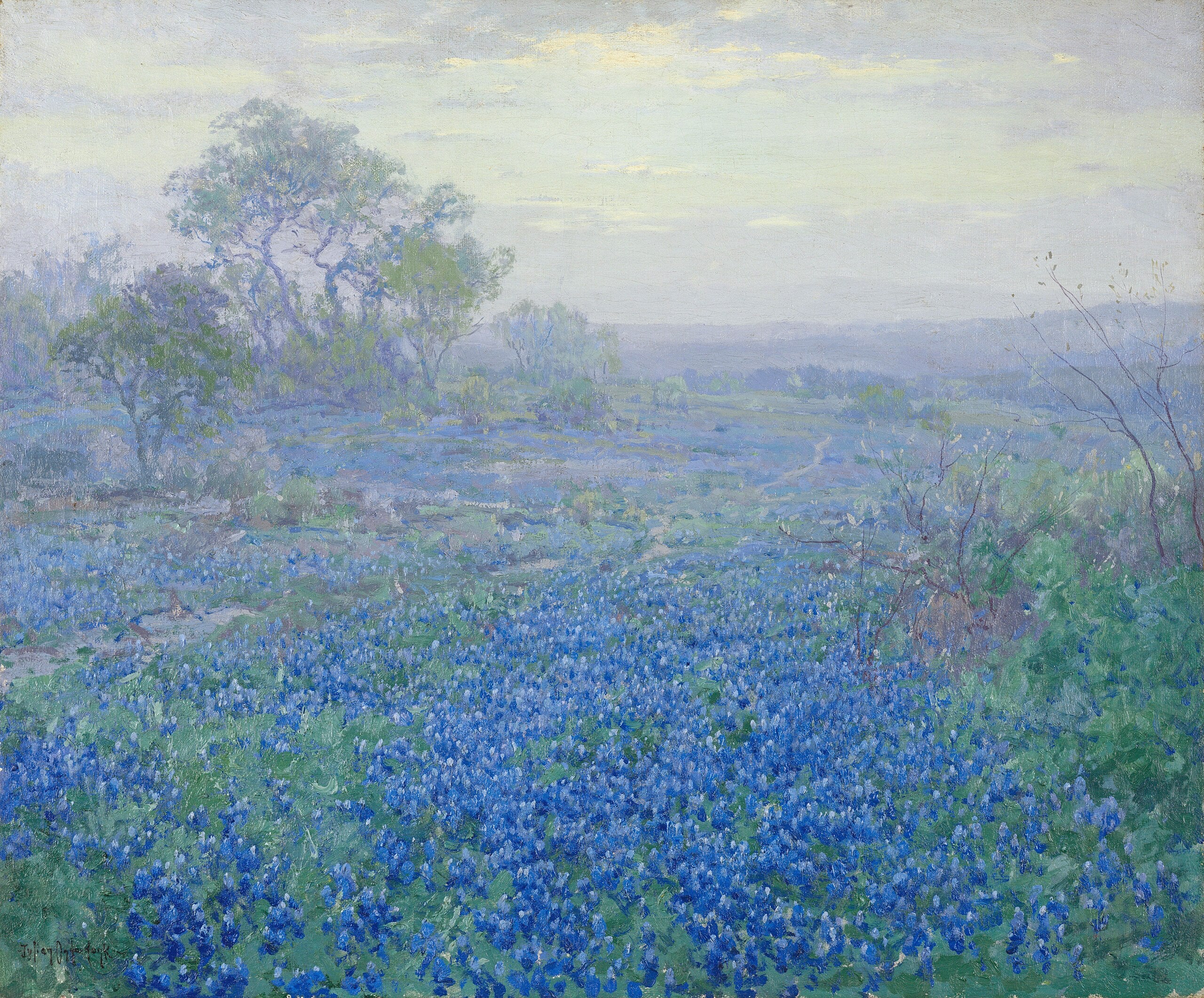 Journée nuageuse, lupins bleus près de San Antonio, Texas - Julian Onderdonk