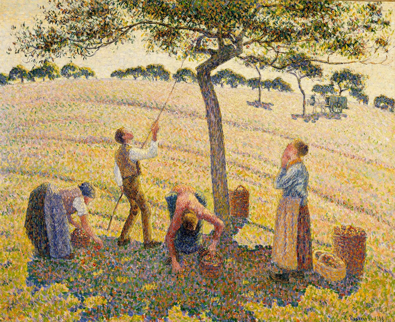 Æblehøsten i Éragny - Camille Pissarro