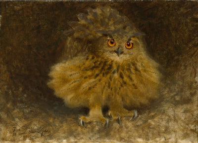 Un hibou grand-duc - Bruno Liljefors