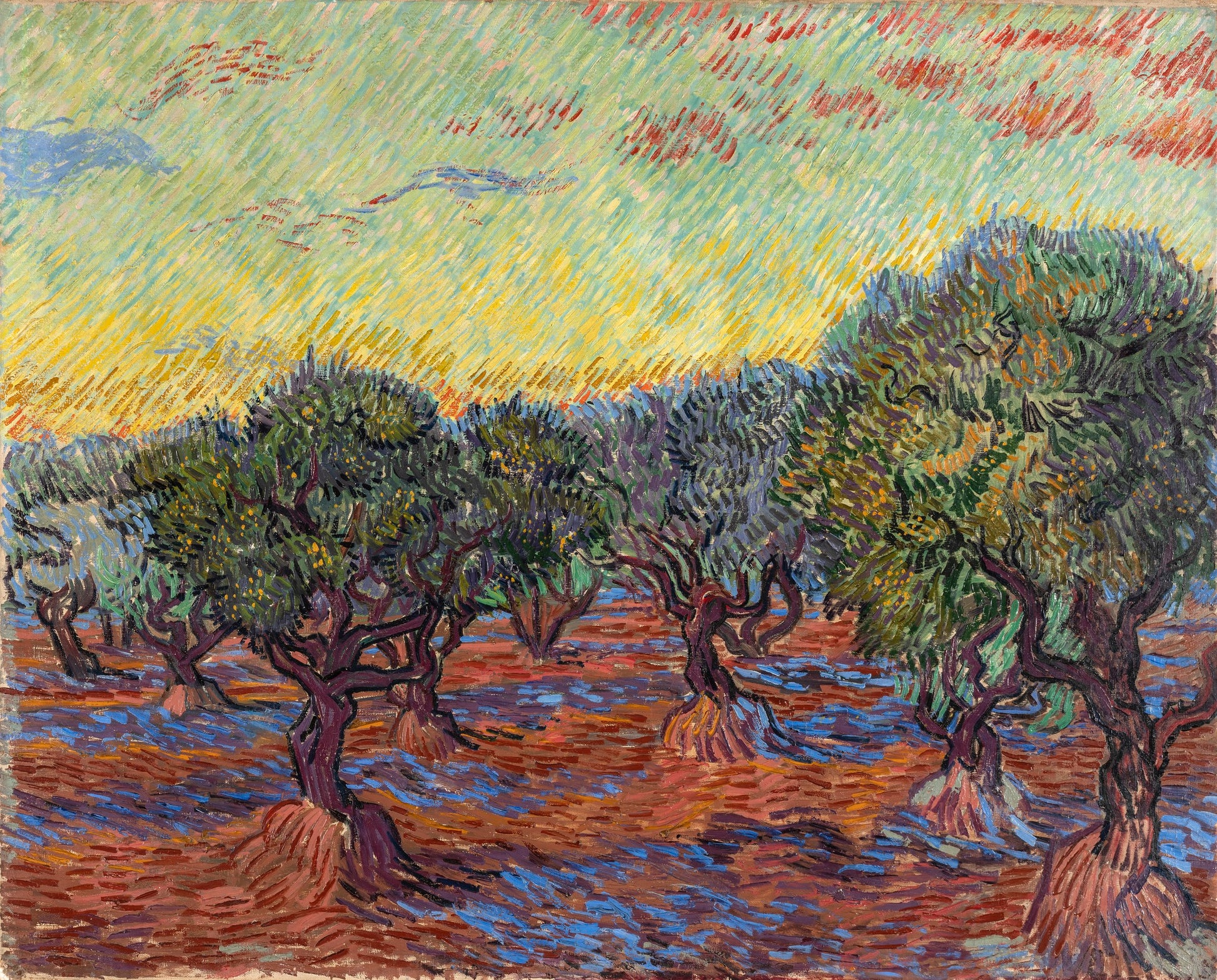 Olivenlund, Saint-Rémy - Vincent van Gogh