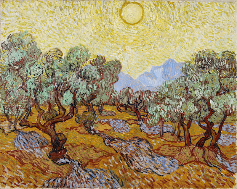 Olivenlunde med gul himmel og sol - Vincent van Gogh