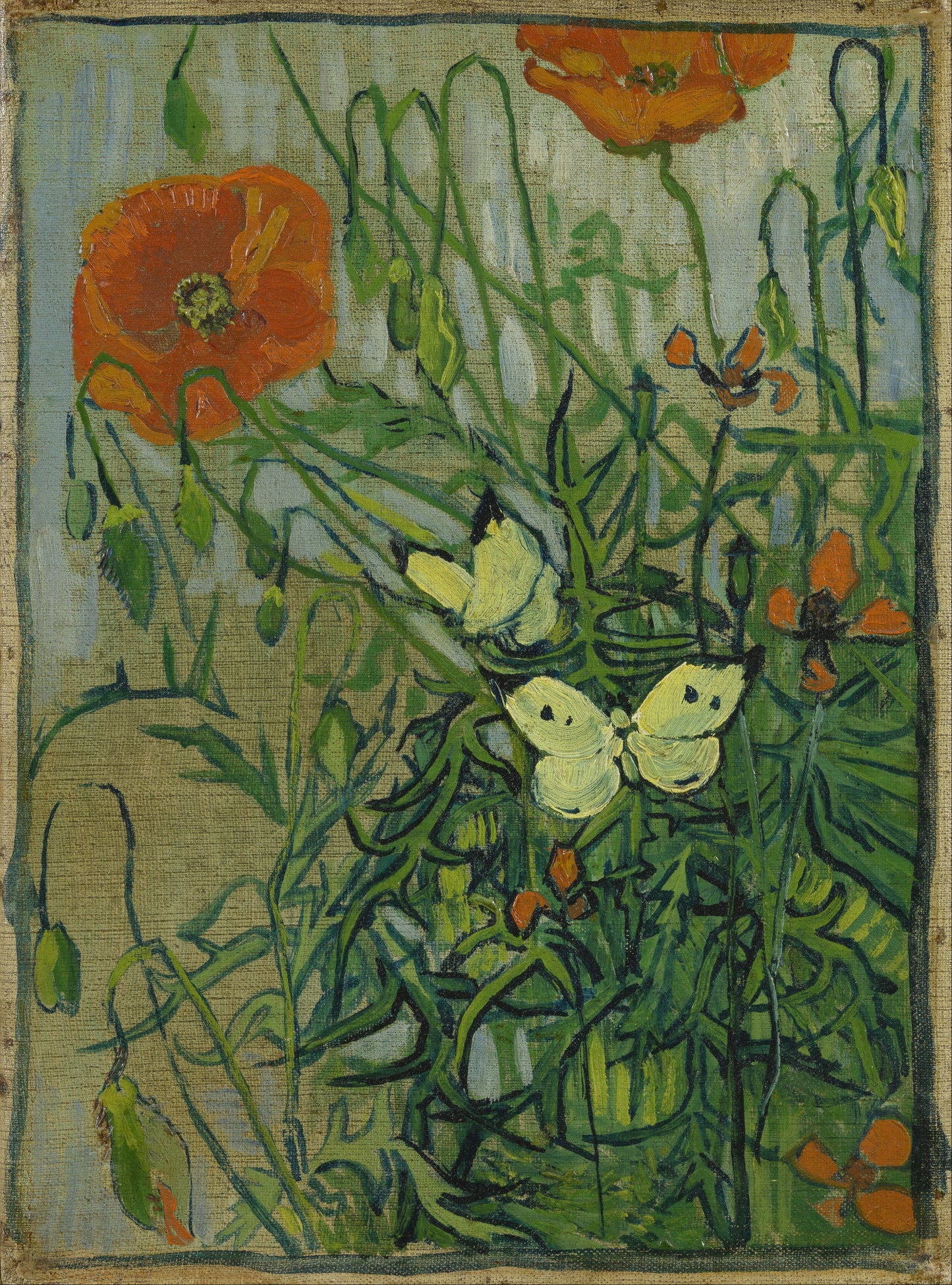 🦋 Sommerfugle og valmuer – Vincent van Gogh (1890)