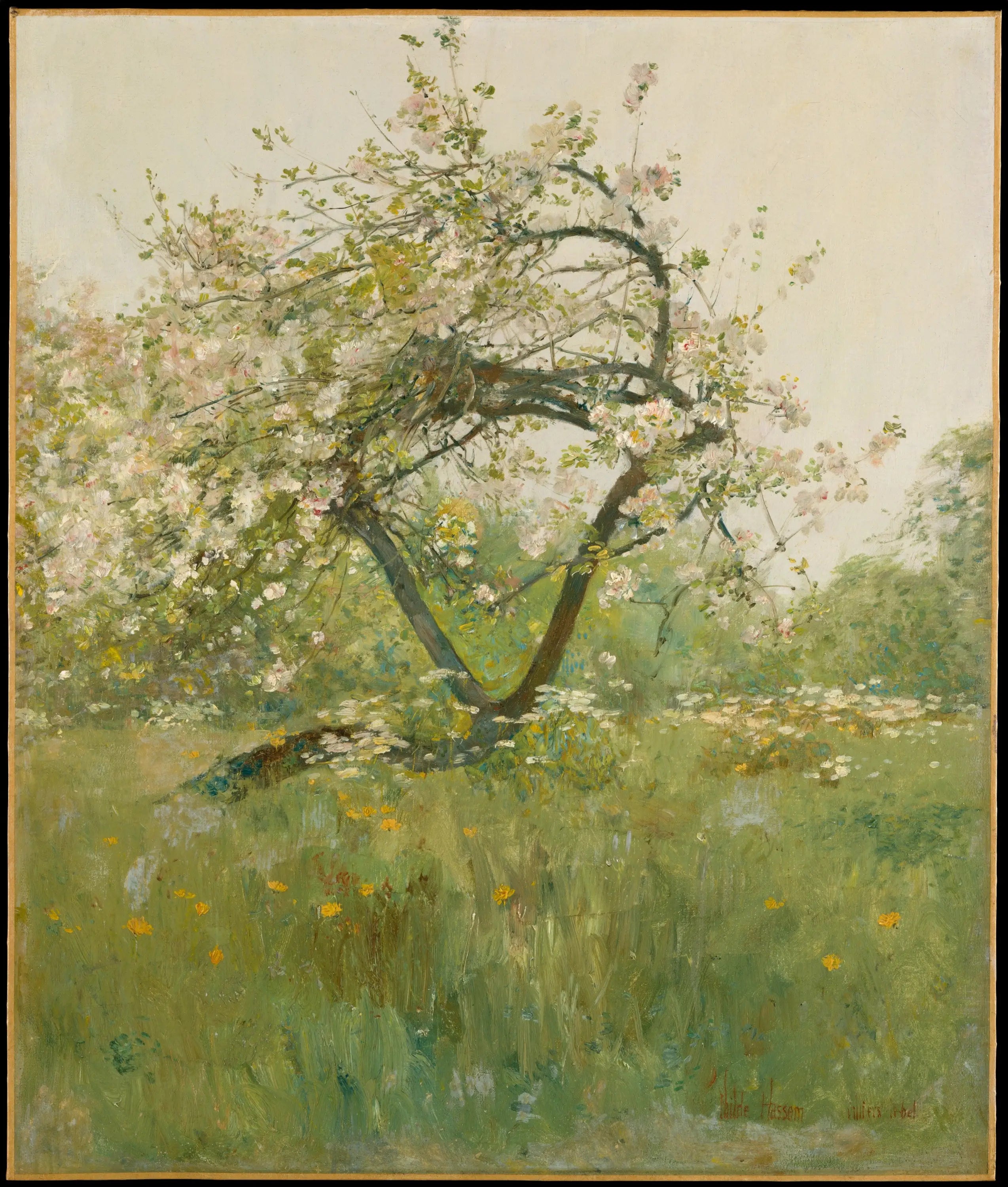 Fleurs de pêcher — Villiers-le-Bel - Childe Hassam - Alpha Reproduction