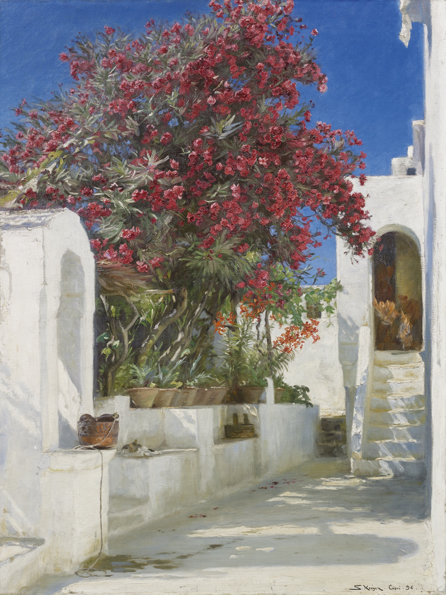 Rosenlaurbær i blomst, Capri - Peder Severin Krøyer