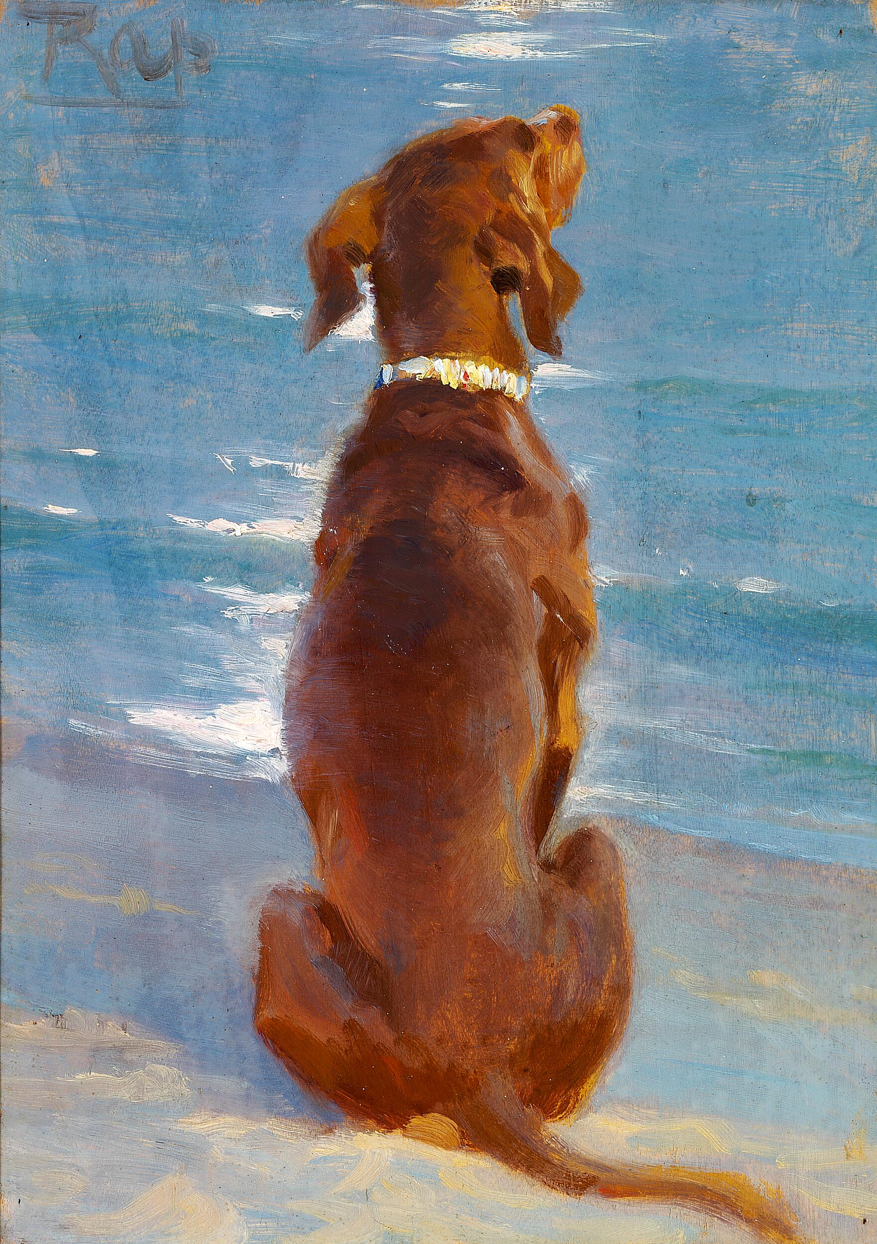 Un chien brun assis. Rap. - Peder Severin Krøyer