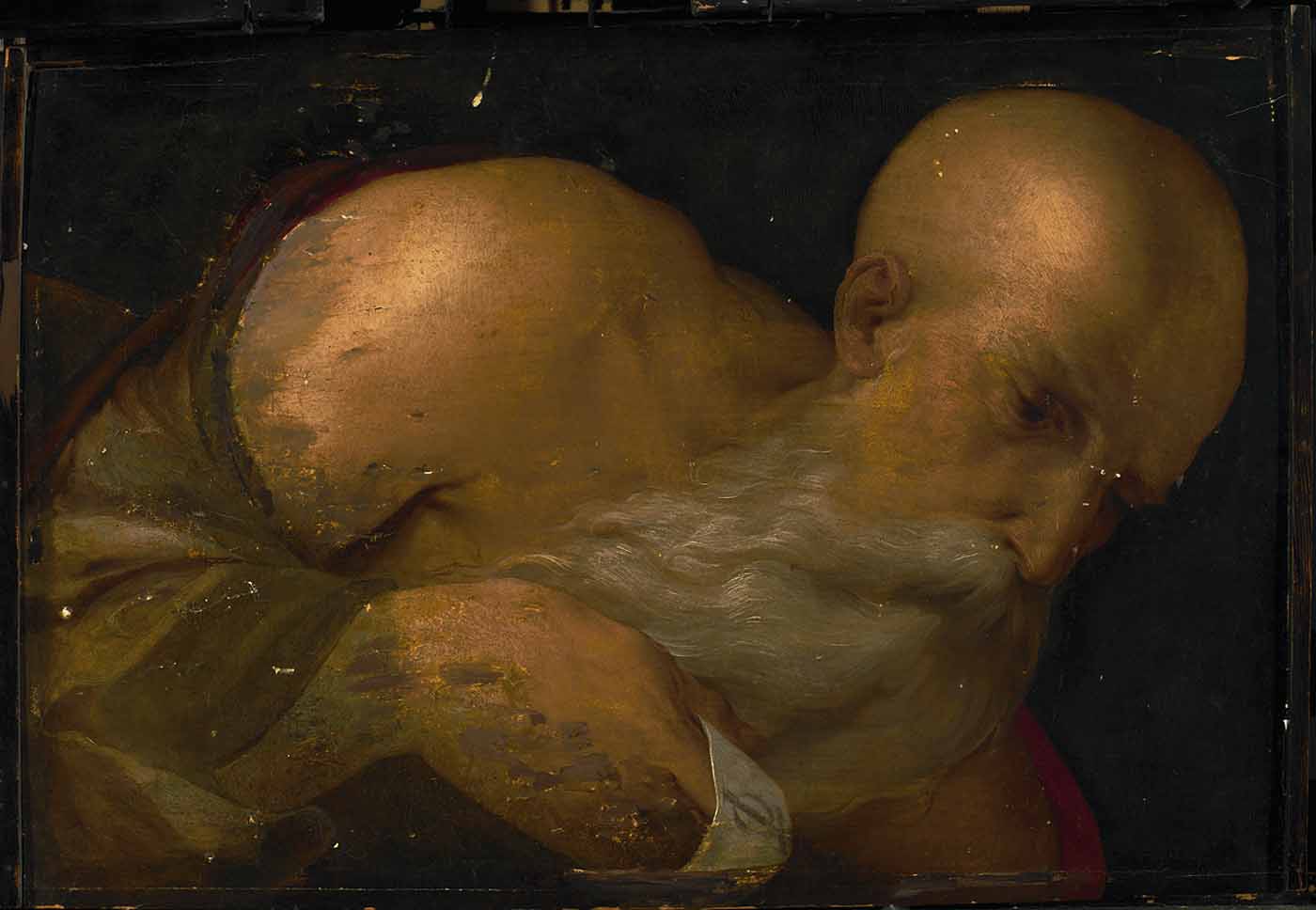 Portrait d'homme - Benvenuto Tisi