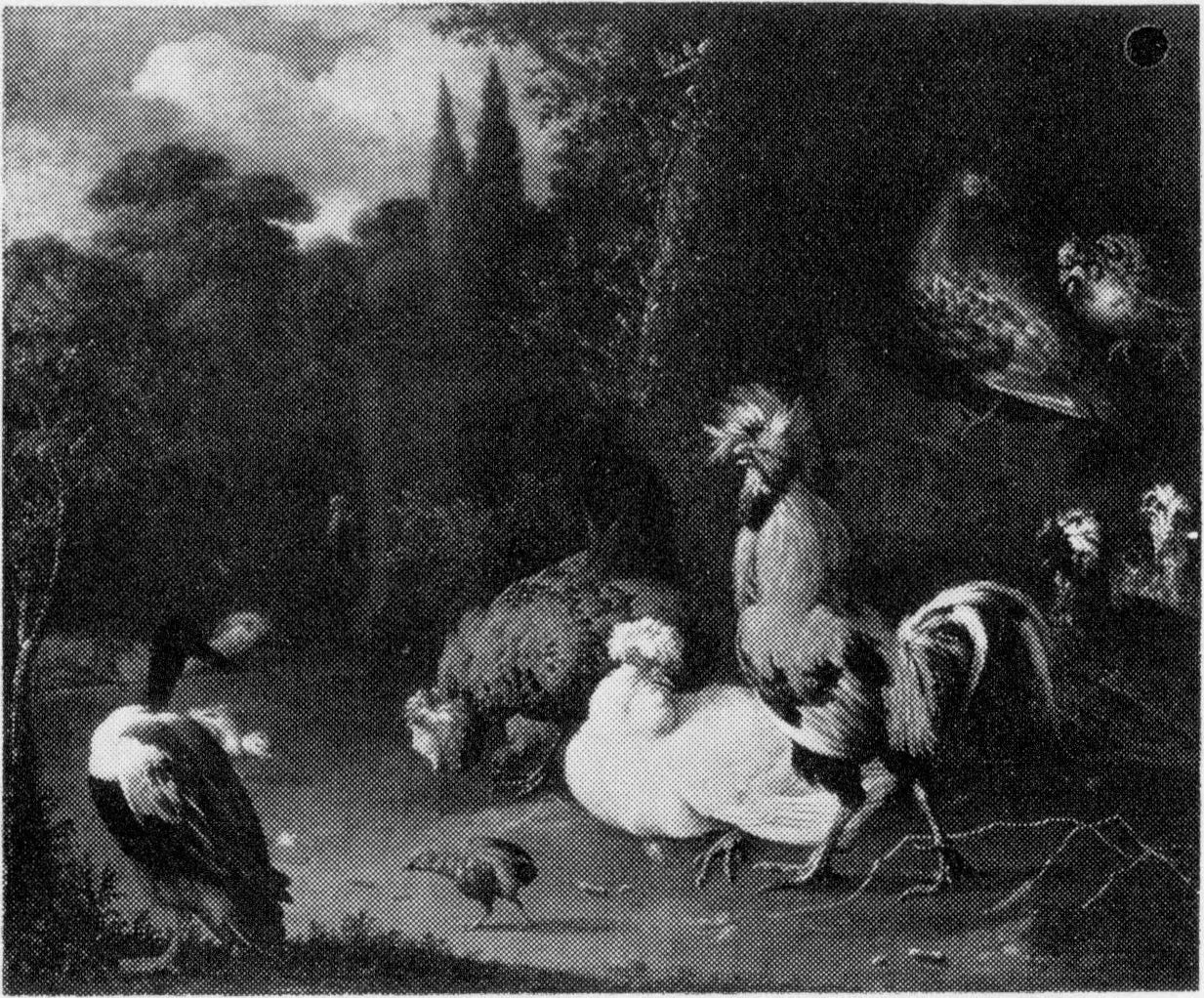 Poulets et canards dans un parc - Melchior de Hondecoeter - Alpha Reproduction
