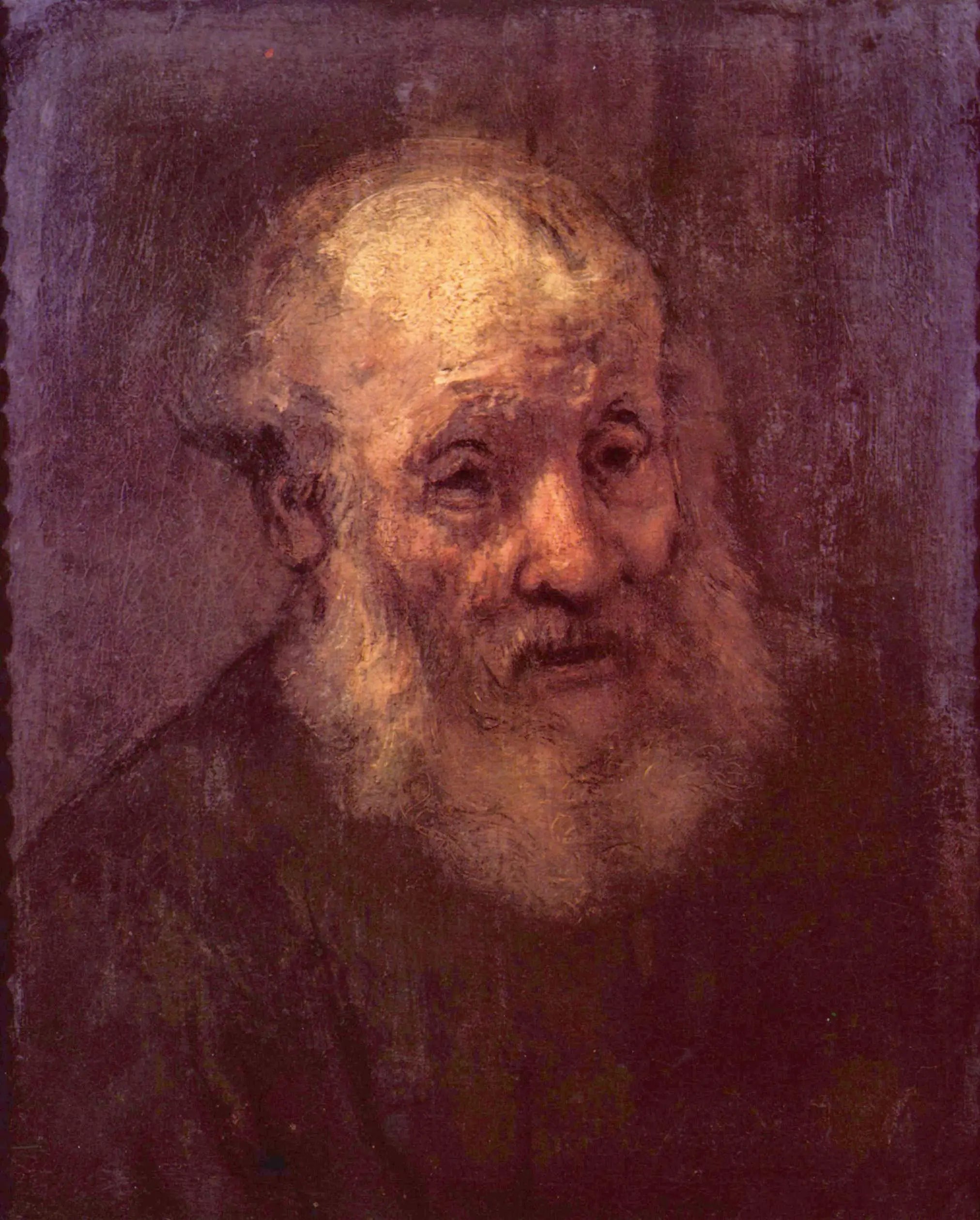 Reproduction du tableau « Portrait d'un vieil homme barbu - Rembrandt » par Alpha Reproduction en peinture à l’huile