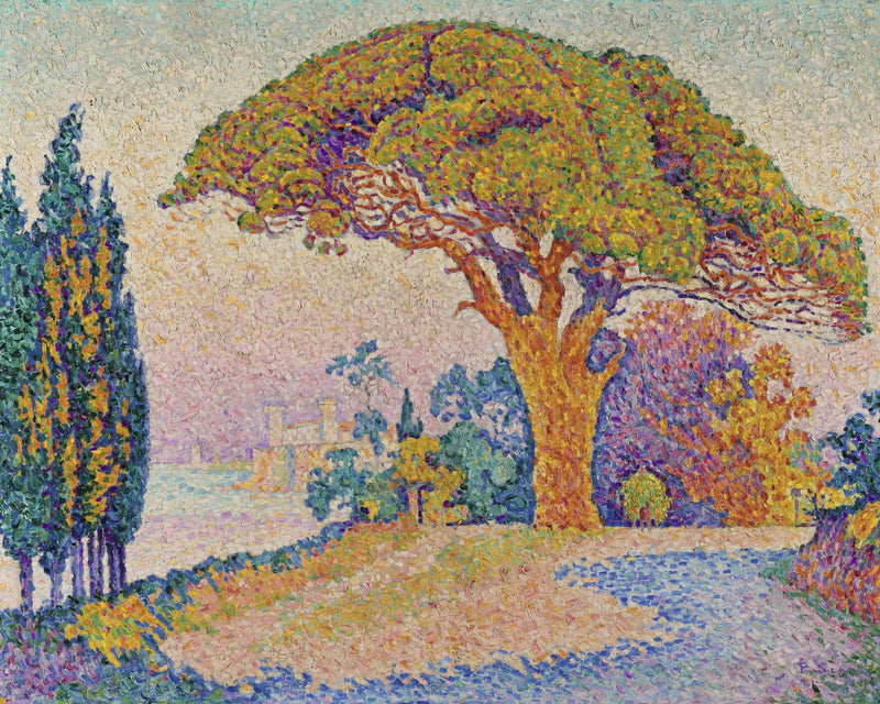Bertauds Pin - Paul Signac