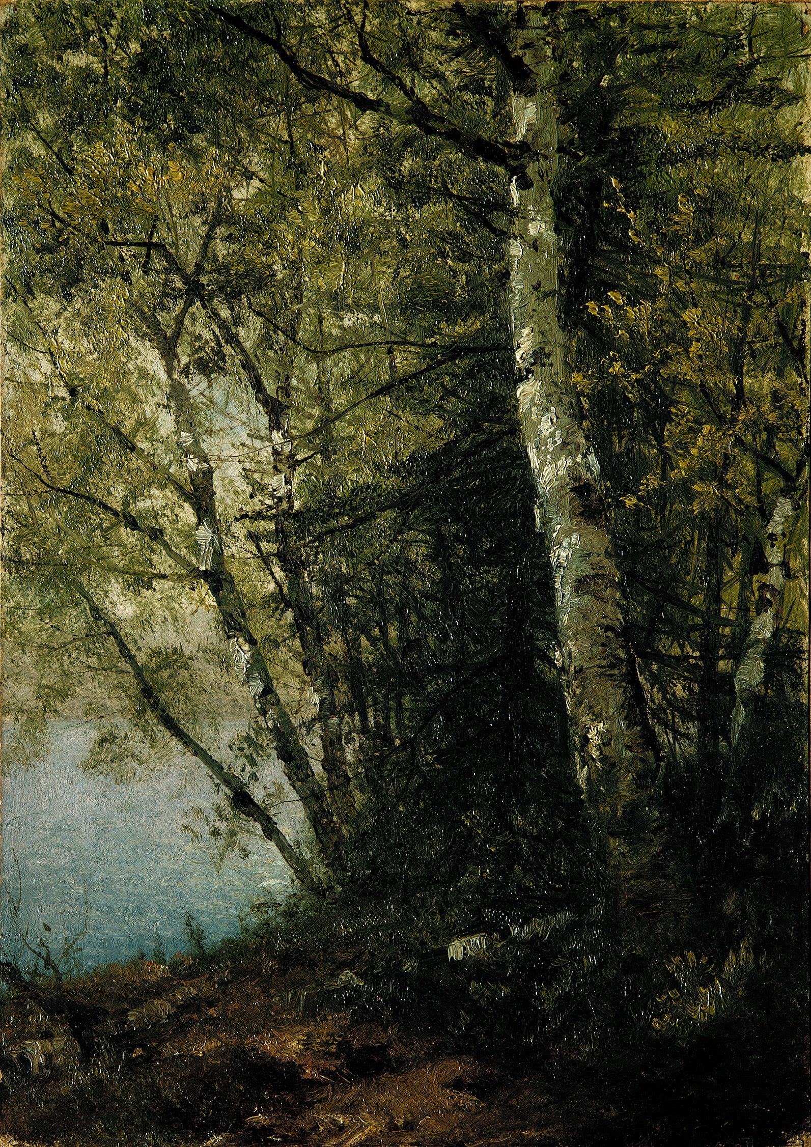 Étude des hêtres - John Frederick Kensett