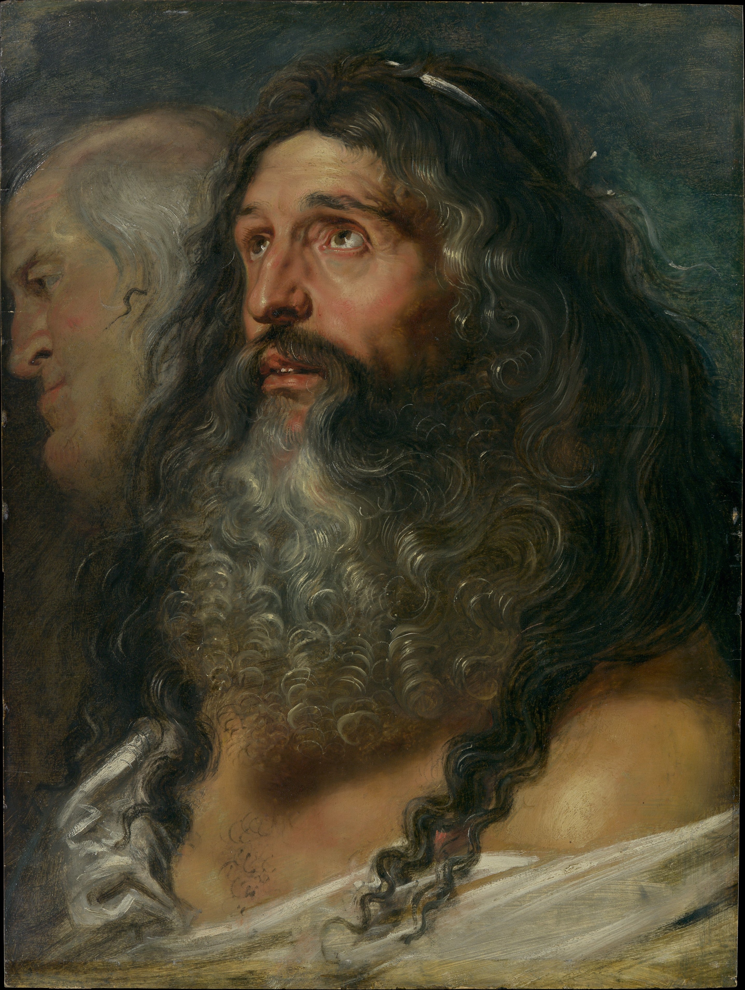 Studie af to hoveder - Peter Paul Rubens