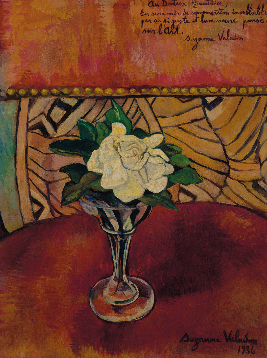 Still life with white rose - Suzanne Valadon