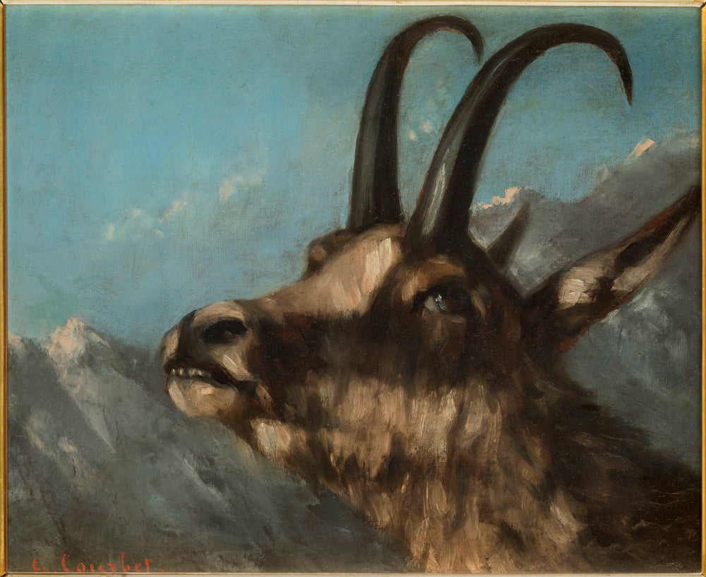 Tête de chamois - Gustave Courbet