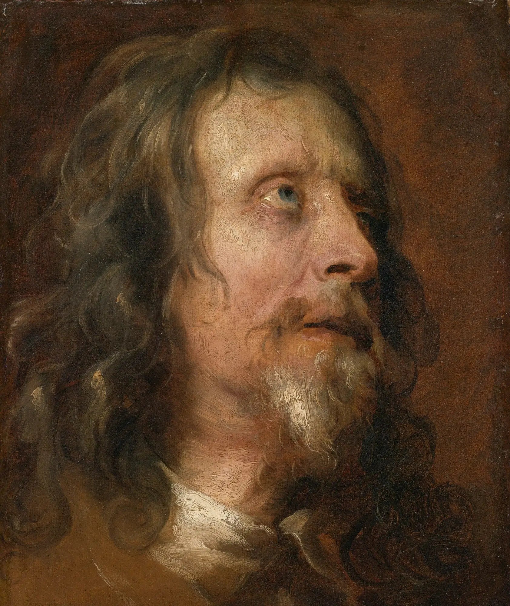 Étude de portrait d’un homme barbu - Antoine van Dyck - Alpha Reproduction