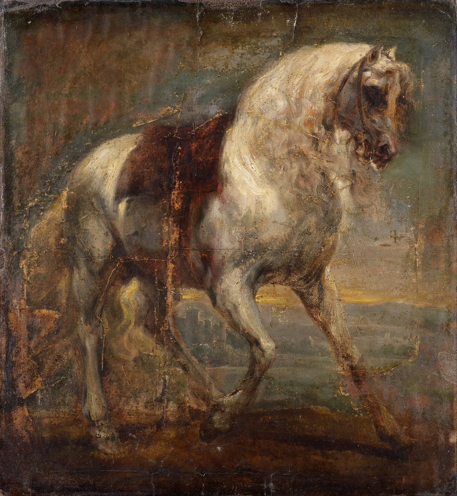 En grå hest - Antoine van Dyck