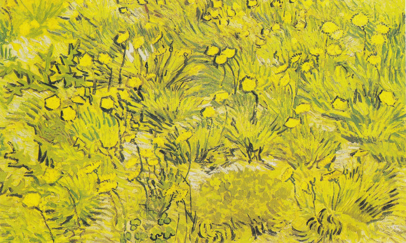 Prærie med gule blomster - Vincent van Gogh