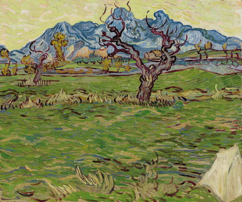 Marker nær Alpilles - Vincent van Gogh