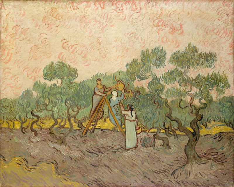 Kvinder, der plukker oliven - Vincent van Gogh