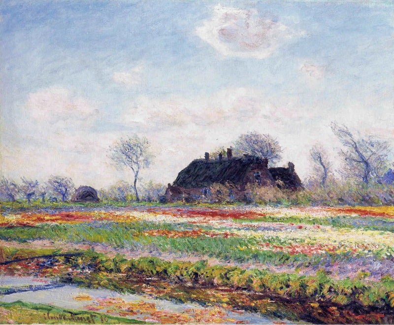 I Sassenheim nær Haarlem, tulipanmark - Claude Monet