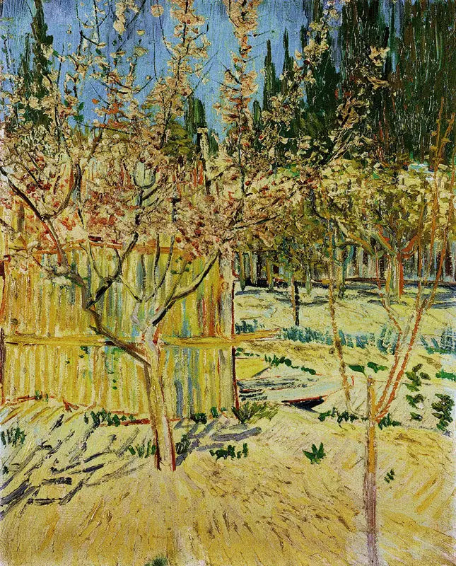 Blomstrende abrikotræer - Vincent van Gogh