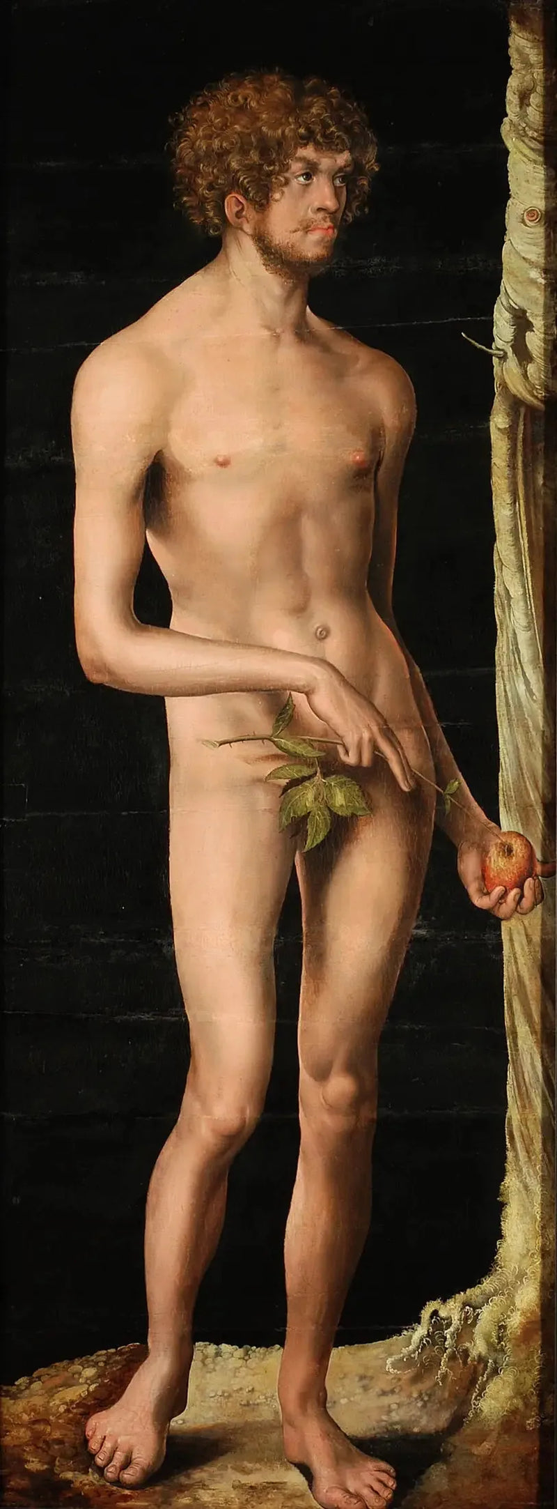 Adam - Lucas Cranach den Ældre