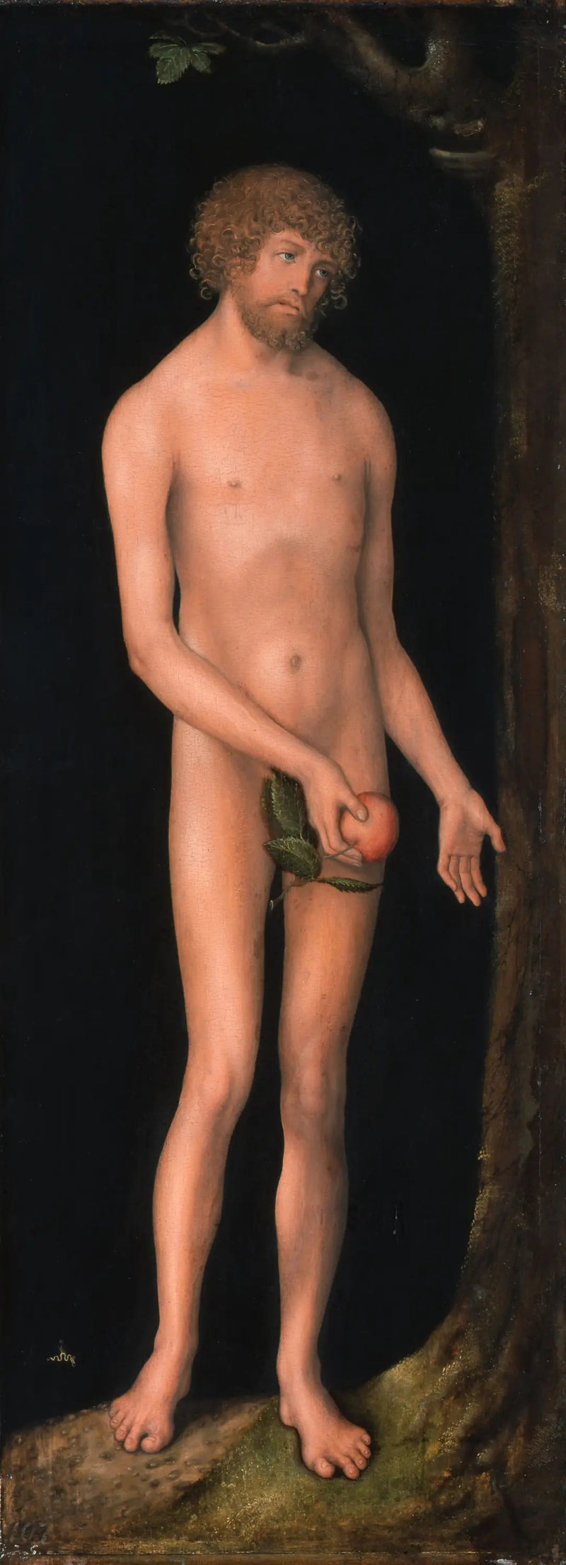Adam - Lucas Cranach den Ældre