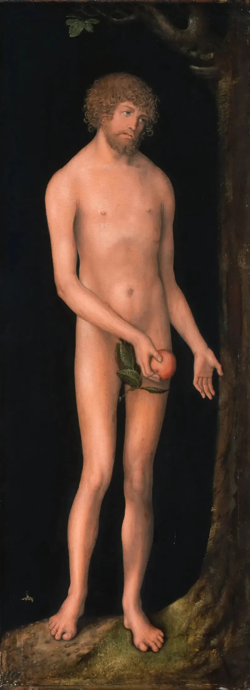 Adam - Lucas Cranach den Ældre