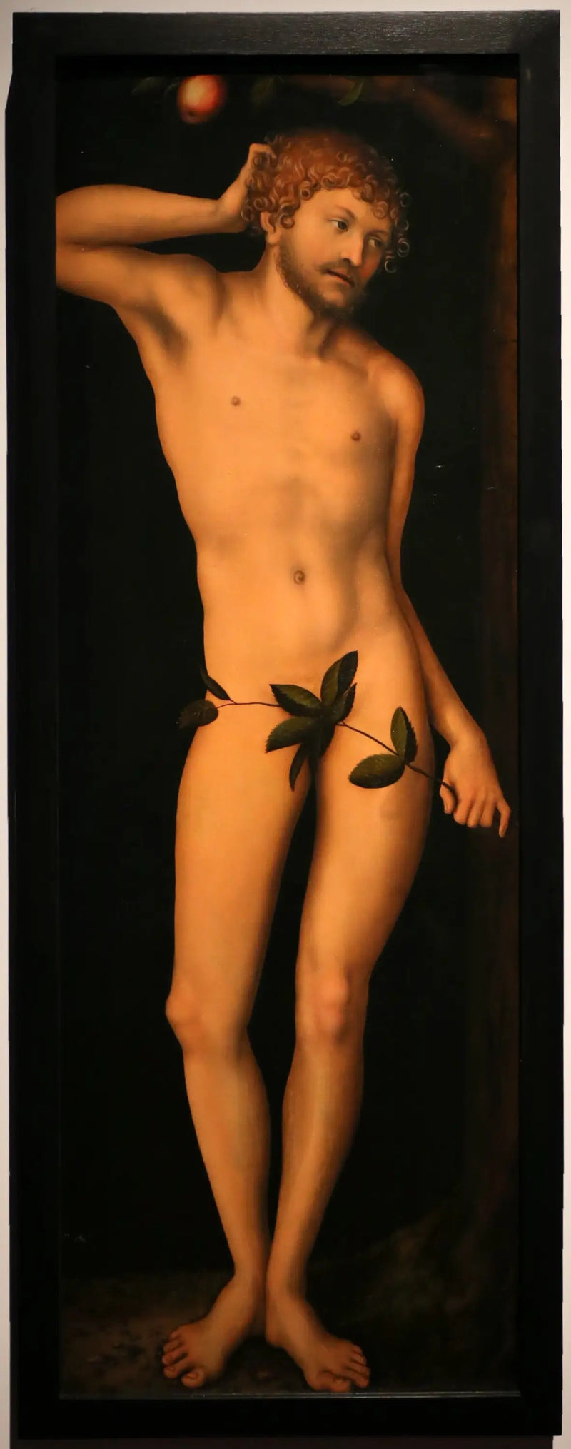 Adam - Lucas Cranach den Ældre