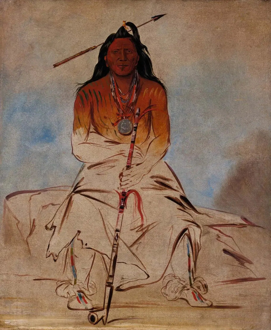 Ah-sháw-wah-róoks-te, medicinsk hest, en stor modig Pawnee - George Catlin