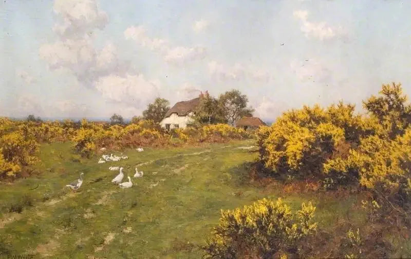 Ajoncs sur un terrain communal du Berkshire (Bucklebury Common) - Edward Wilkins Waite
