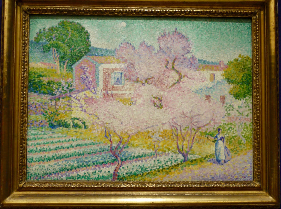 Amandier i blomst - Henri-Edmond Cross