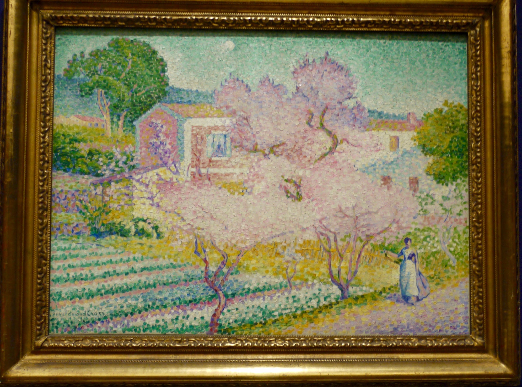 Amandiers en fleurs - Henri-Edmond Cross - Alpha Reproduction