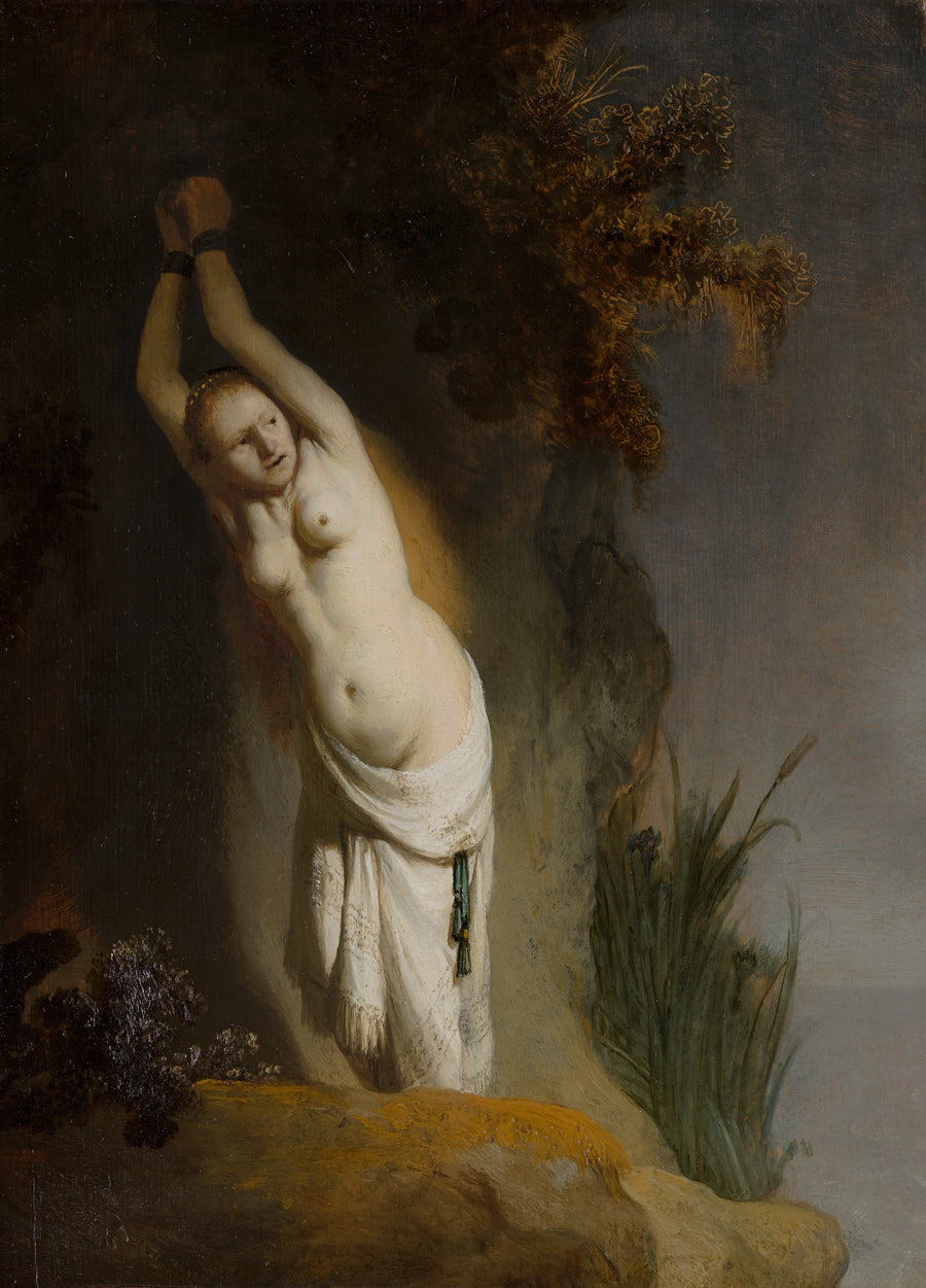 Andromeda i kæder - Rembrandt