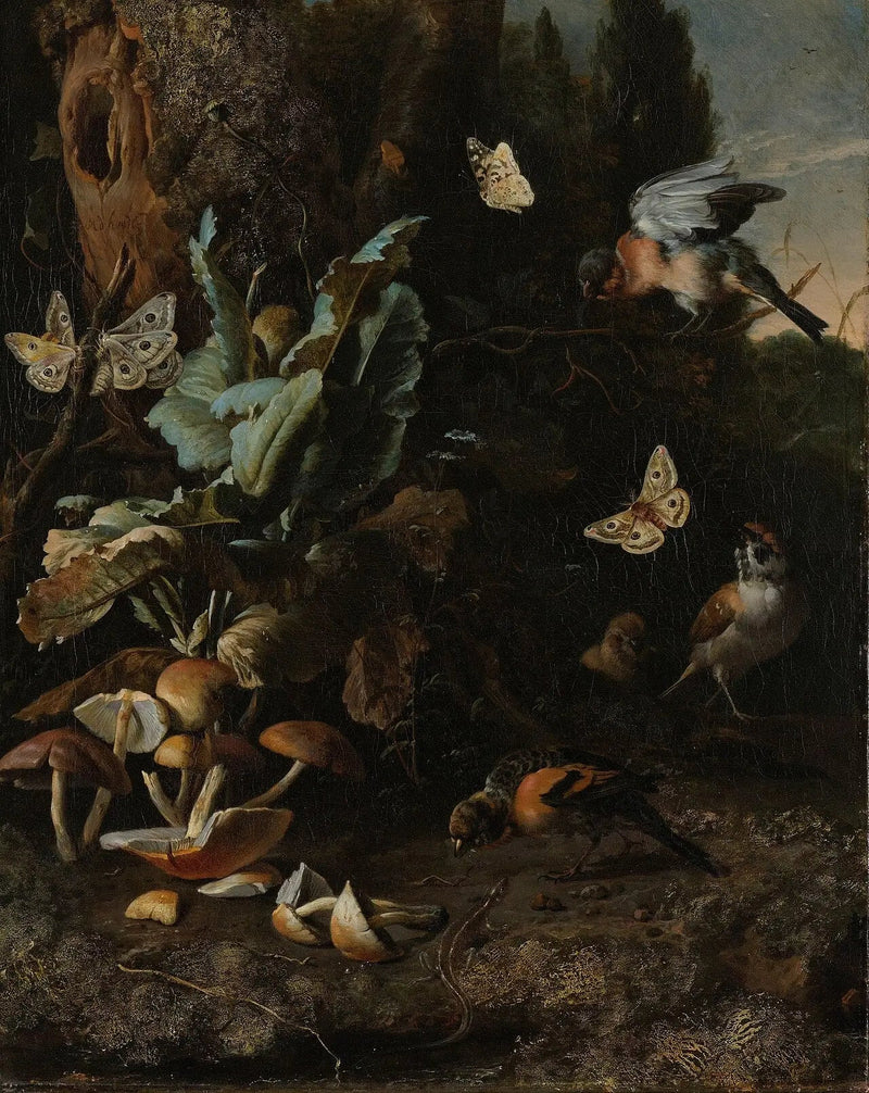 Dyr og planter - Melchior de Hondecoeter