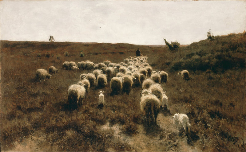 Retour du troupeau - Anton Mauve