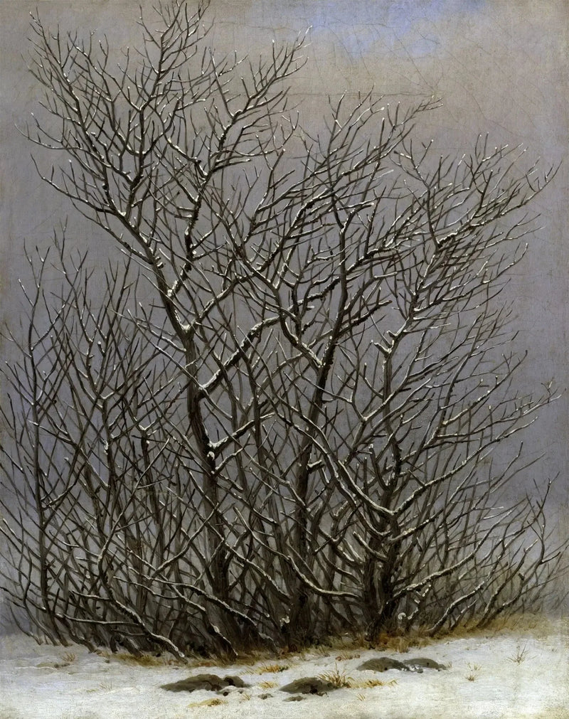 Træer og buske under sneen - Caspar David Friedrich