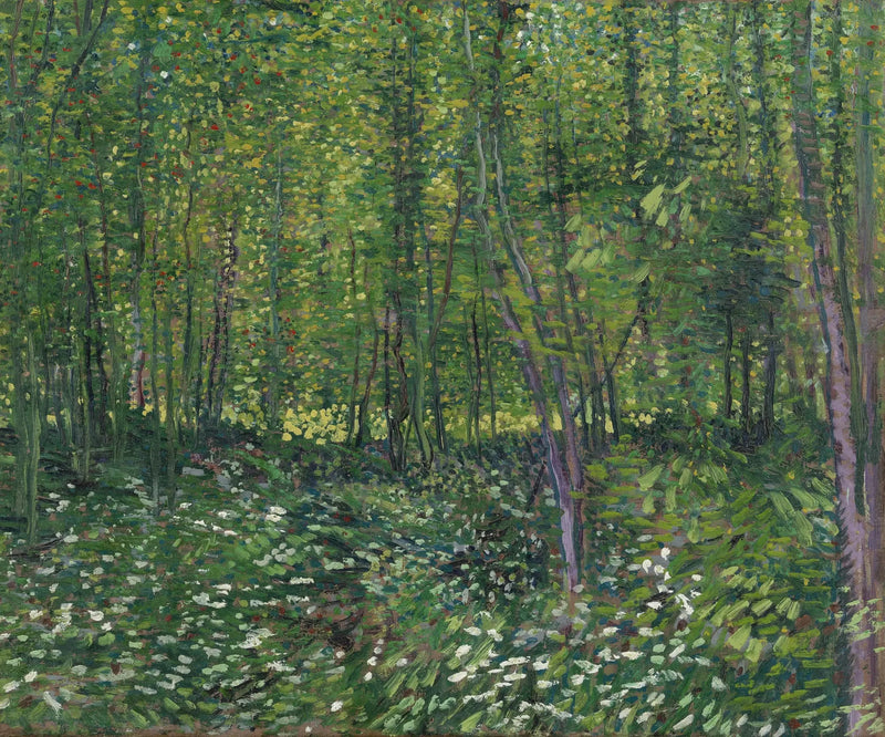 Træer og underskov - Vincent van Gogh